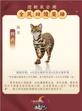 天龙八部私服满